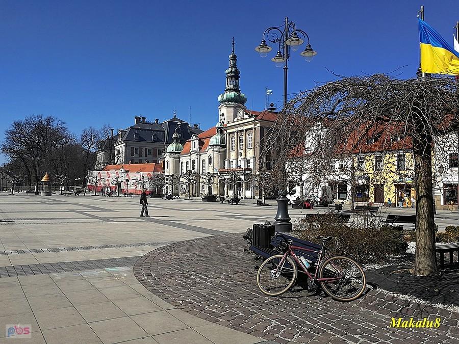 Pszczyna