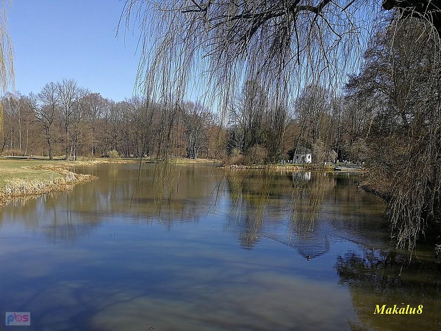 Pszczyna
