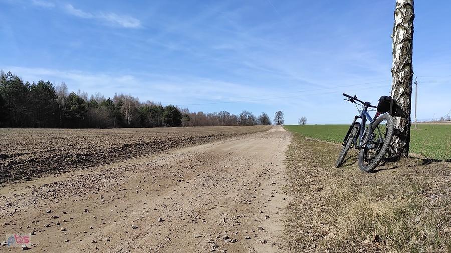 Gdzieś na trasie.