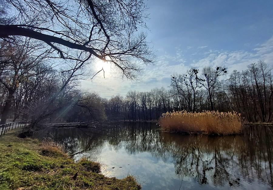 Mroźny poranek na Dębinie