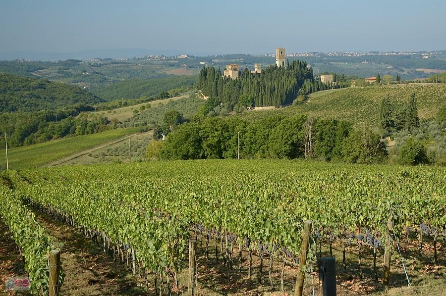 Badia di Passignano