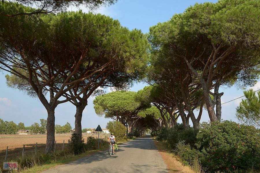Parco Regionale della Maremma