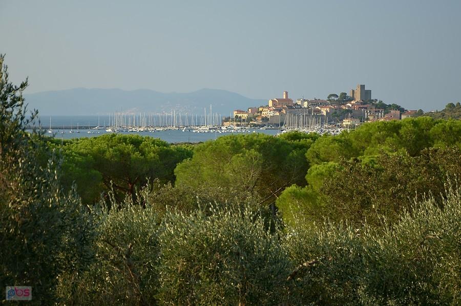 Talamone