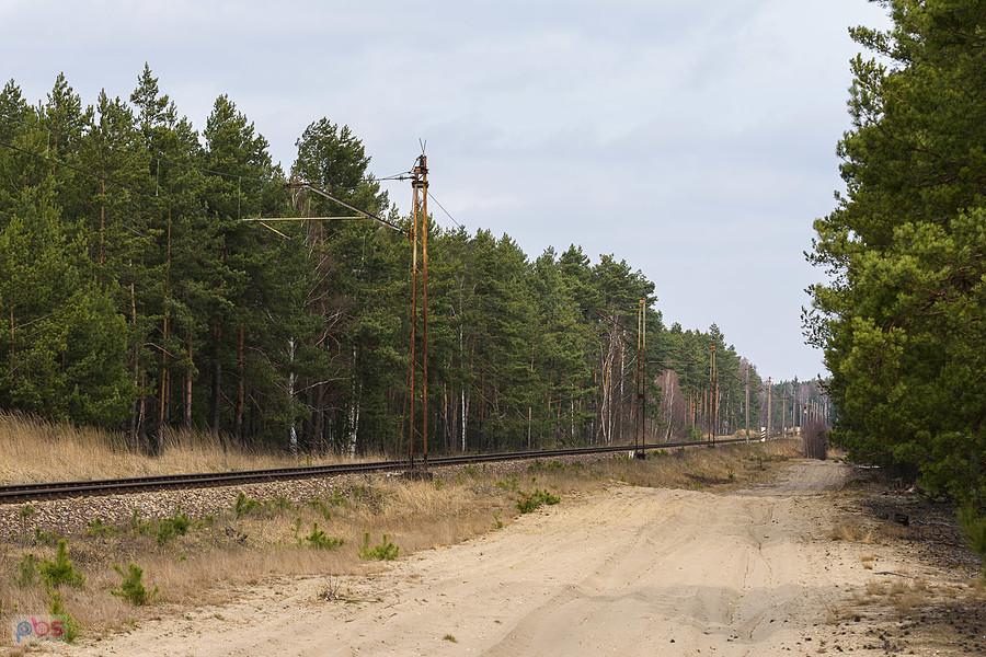 Linia kolejowa D29-155, szlak Poraj - Częstochowa Mirów w pobliżu miejscowości Korwinów.