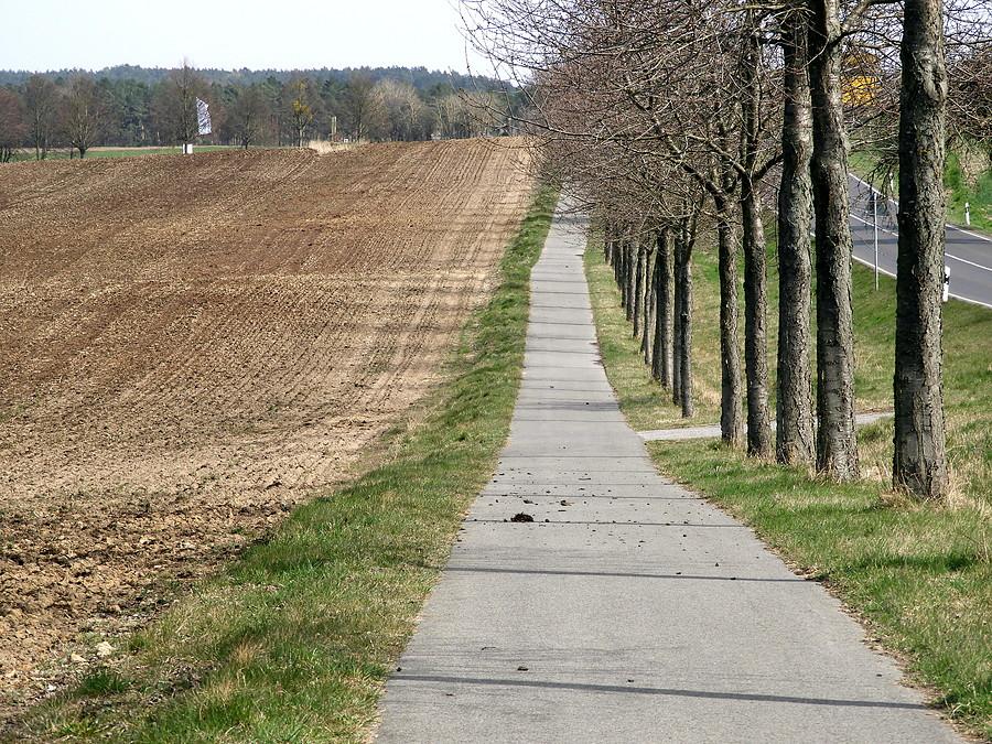 Niemiecka ścieżka rowerowa w kierunku Loecknitz.