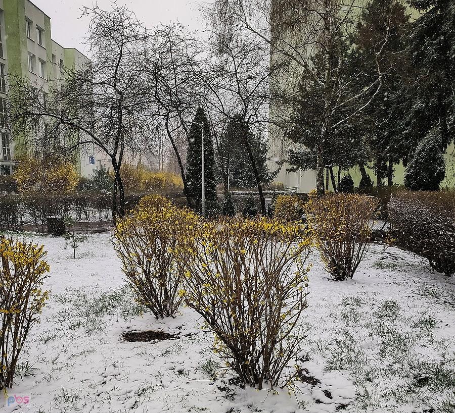 Pogodowy prima aprilis