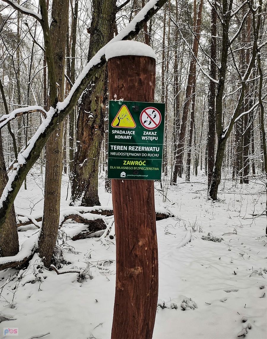 Nie tędy droga