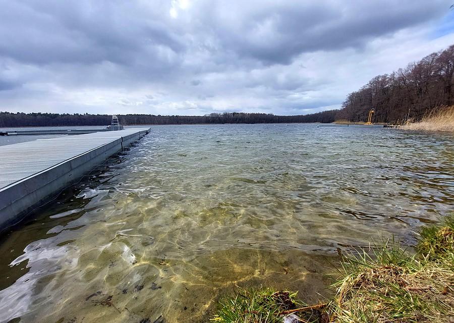 Woda w Strzeszyńskim wciąż czysta