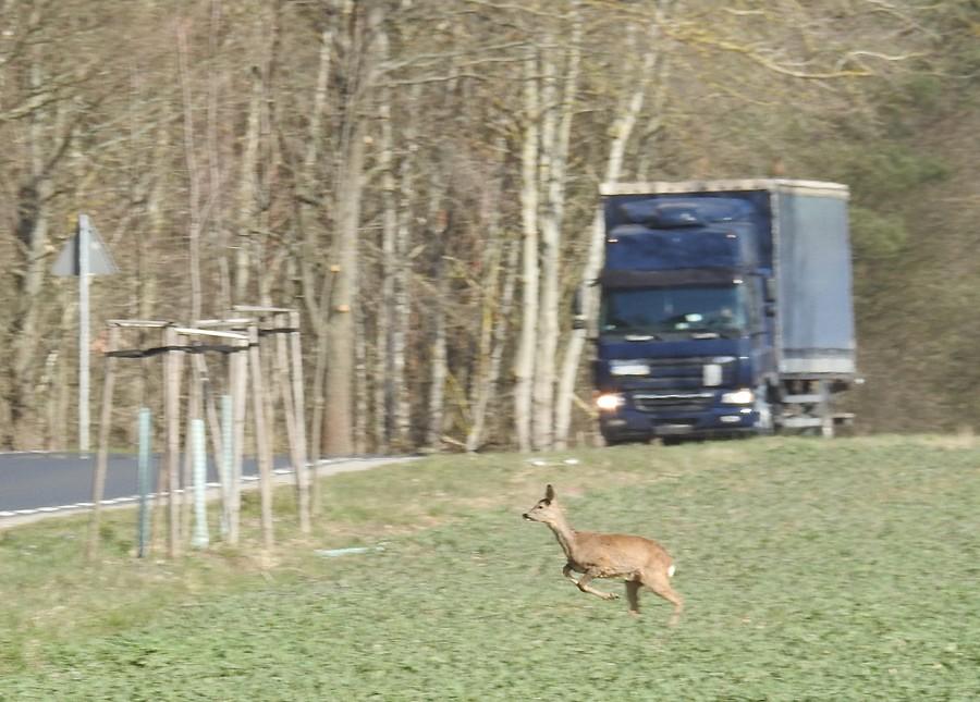 Samotna samobójczyni :)