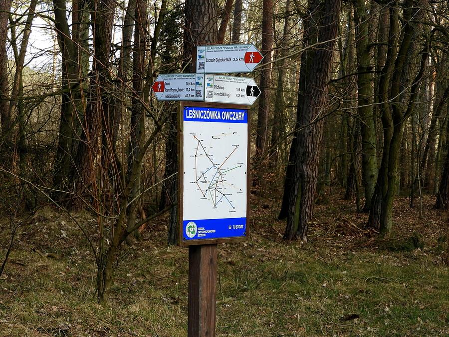 Pod leśniczówką Owczary - oznakowanie szlaków turystycznych.