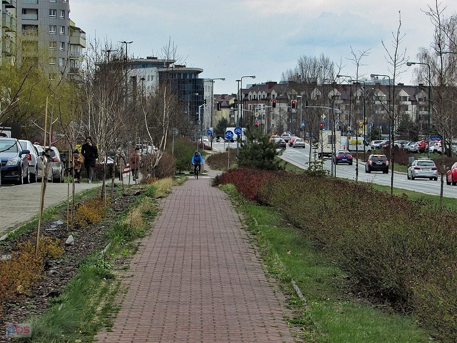 DDR na Wąwozowej zaczyna zarastać trawą