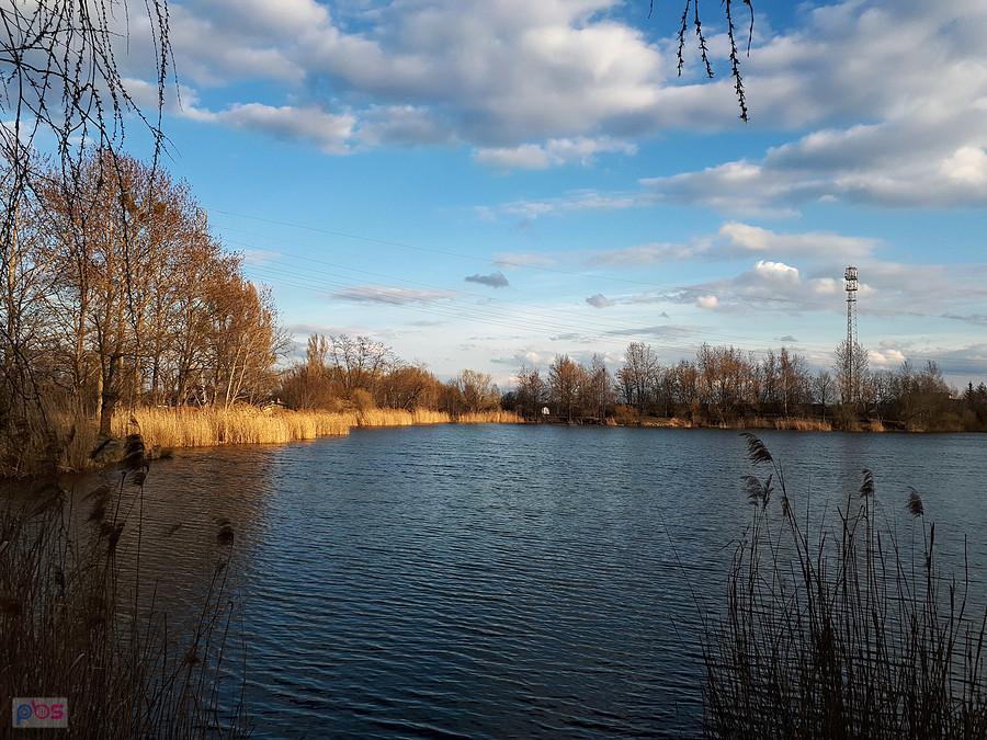 "Michalina" w Częstochowie