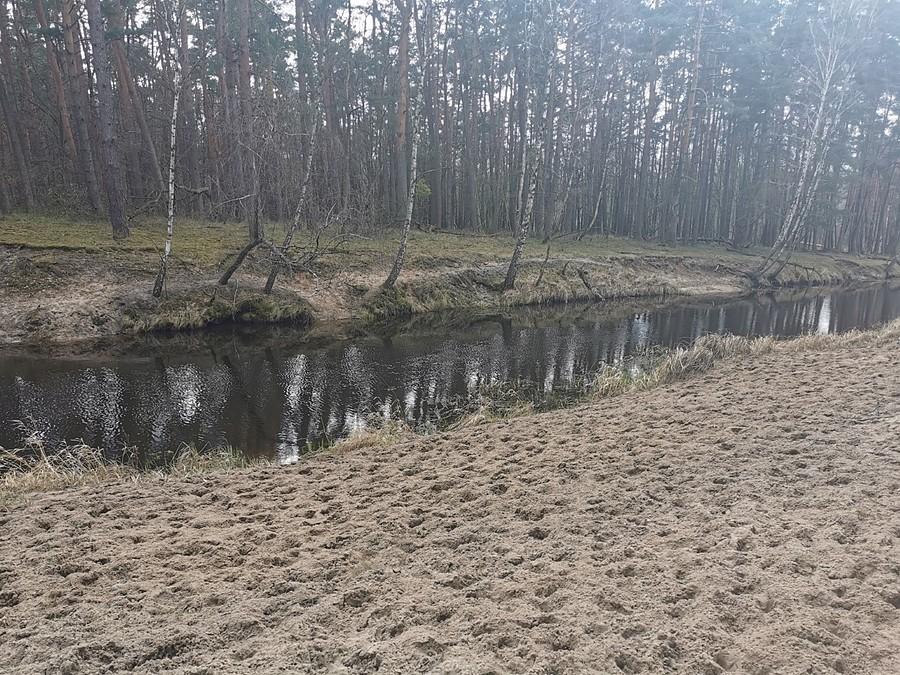 Wodopój na Kanale Łasica