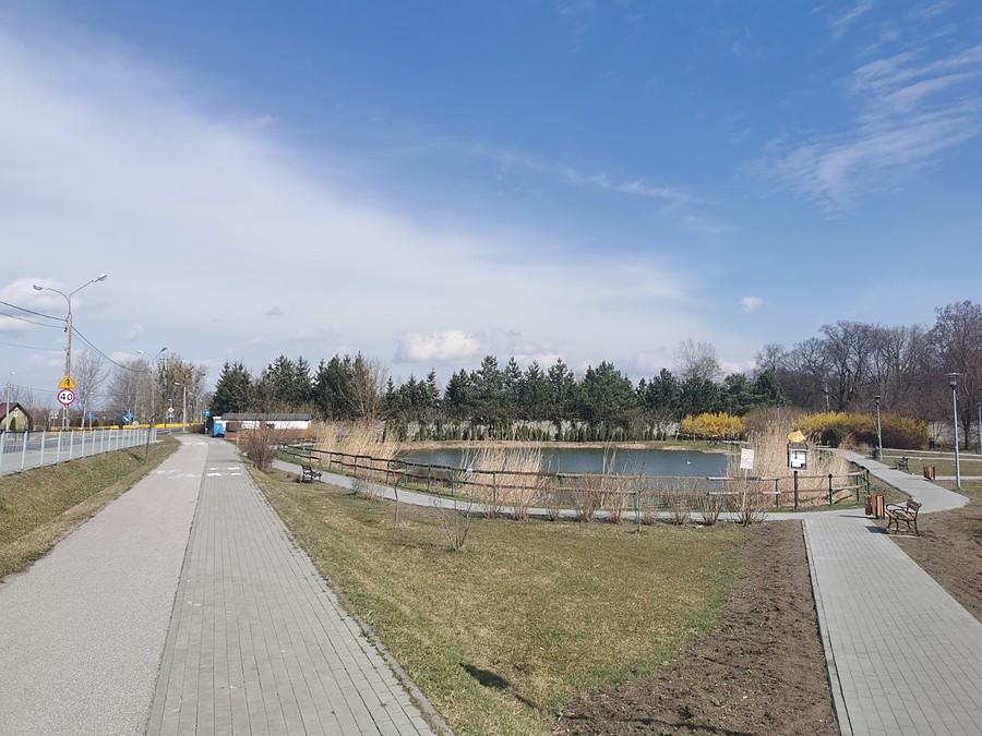 Staw w Borzęcinie