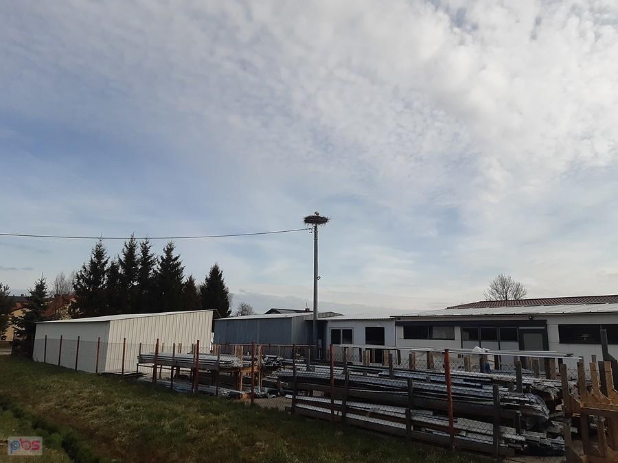 Bielnik i pierwszy bocian
