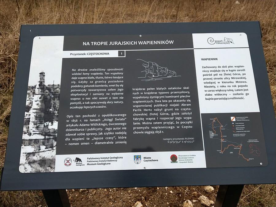 Na tropie jurajskich wapienników