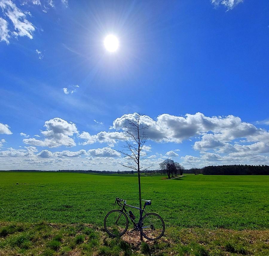 Pięknie i słonecznie w Lisówkach