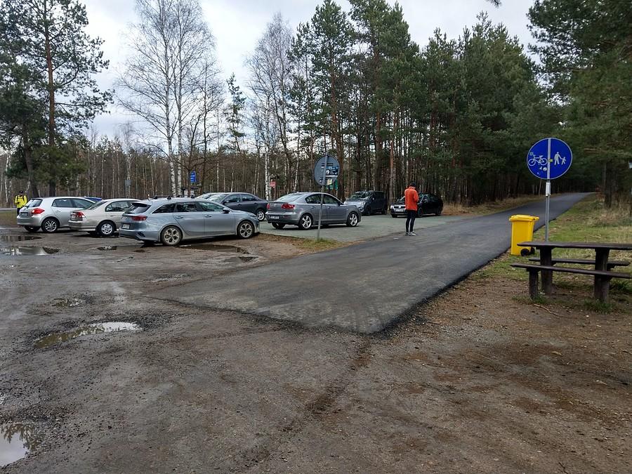 Na kartofle niezbędne są słupki i zasieki