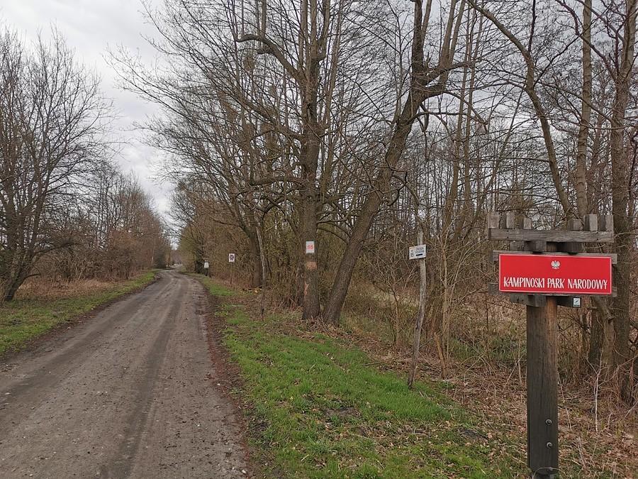 Pożegnanie z Kampinosem