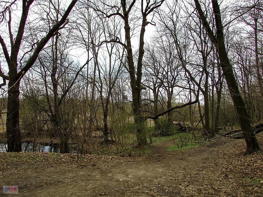 Rezerwat przyrody Skarpa Ursynowska