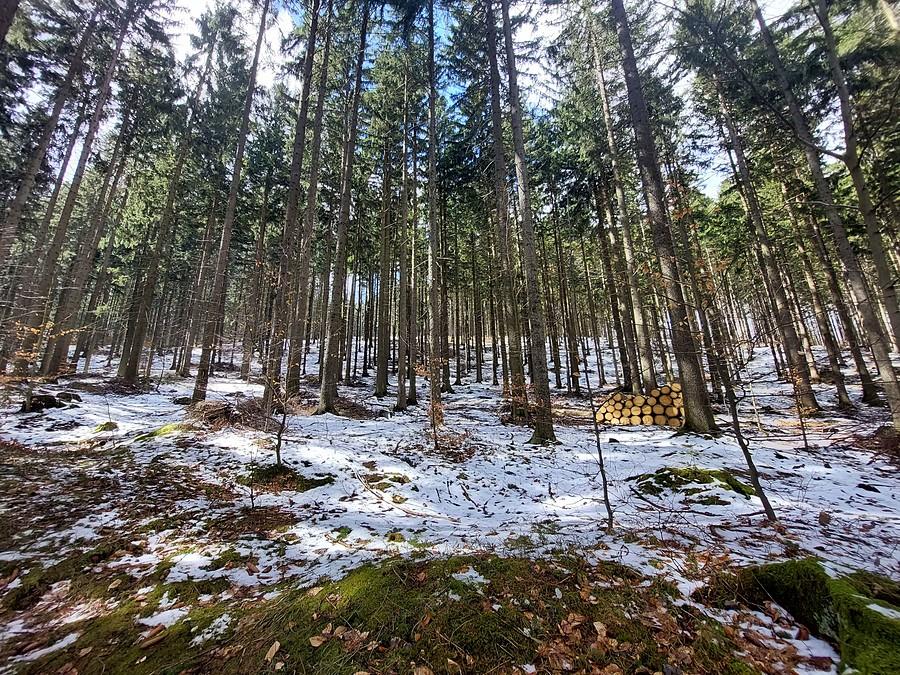 Śnieg, śnieg, śnieg!