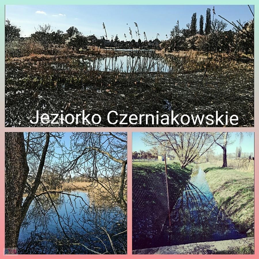 Jezioro Czerniakowskie