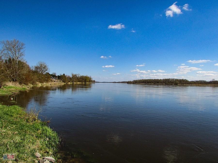 Wisła w Czerwińsku płynie szerokim korytem