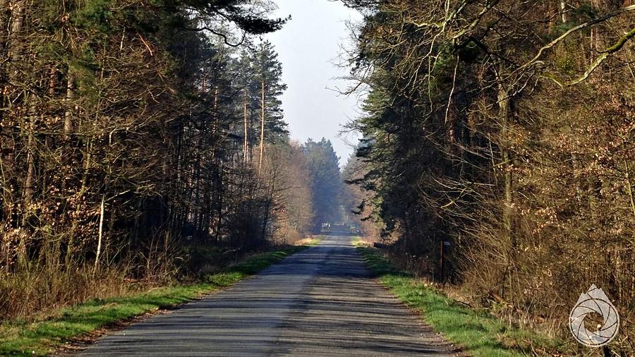 poranne proste na Bystrzycę