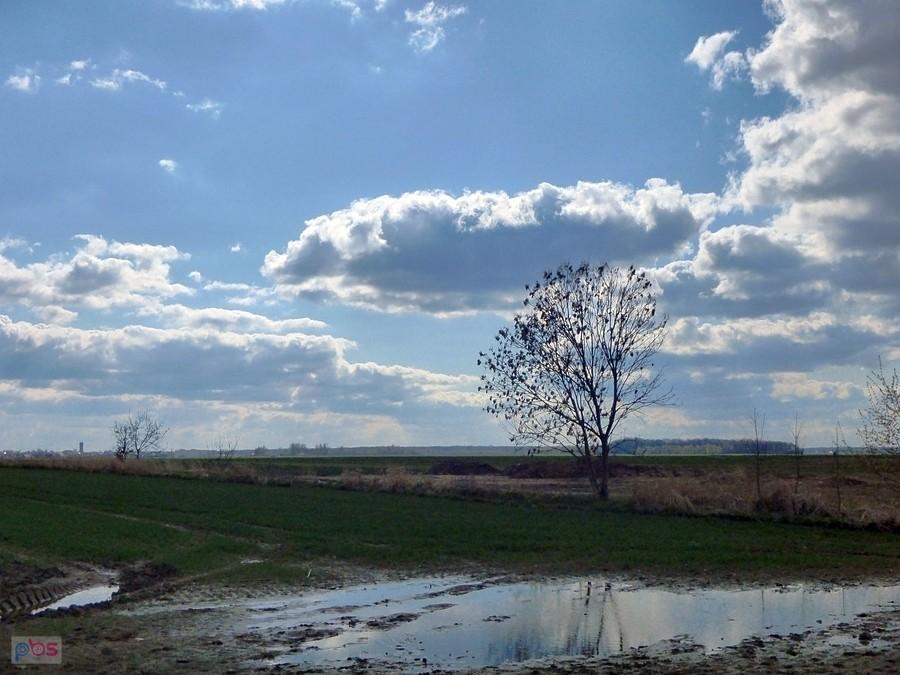 Gdzieś w polach