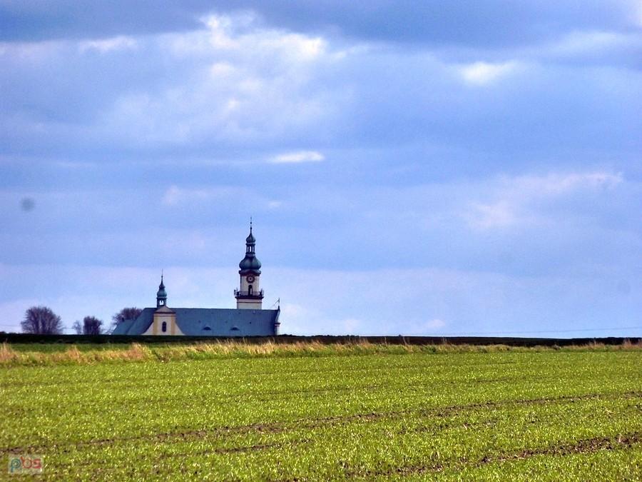Tyle widać było...