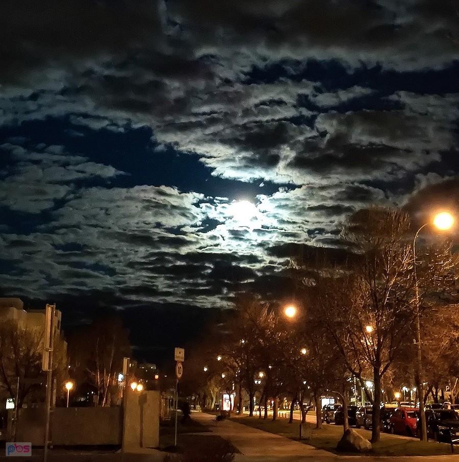 Nocny cichy świąteczny Ursynów - w mieście zostali tylko tubylcy