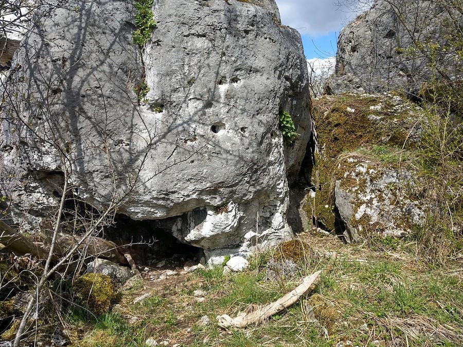 Schronisko na Łysej Górze