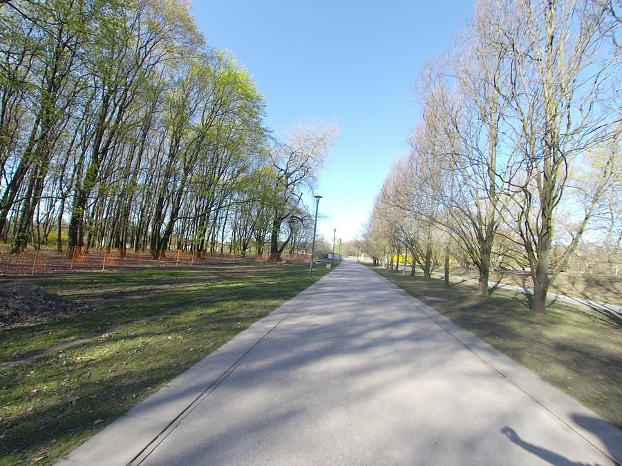 Pole Mokotowskie