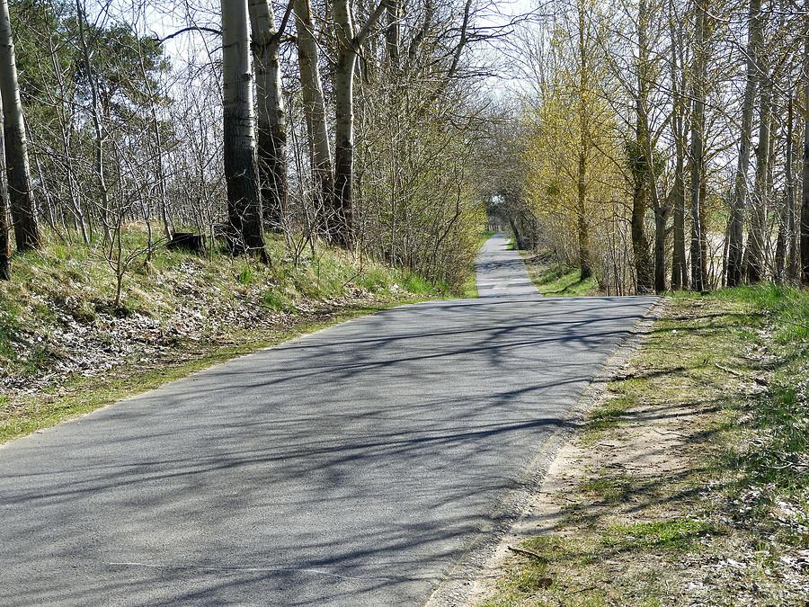 Droga łącząca Bismark z Blankensee - lekko pofałdowana, asfaltowa.