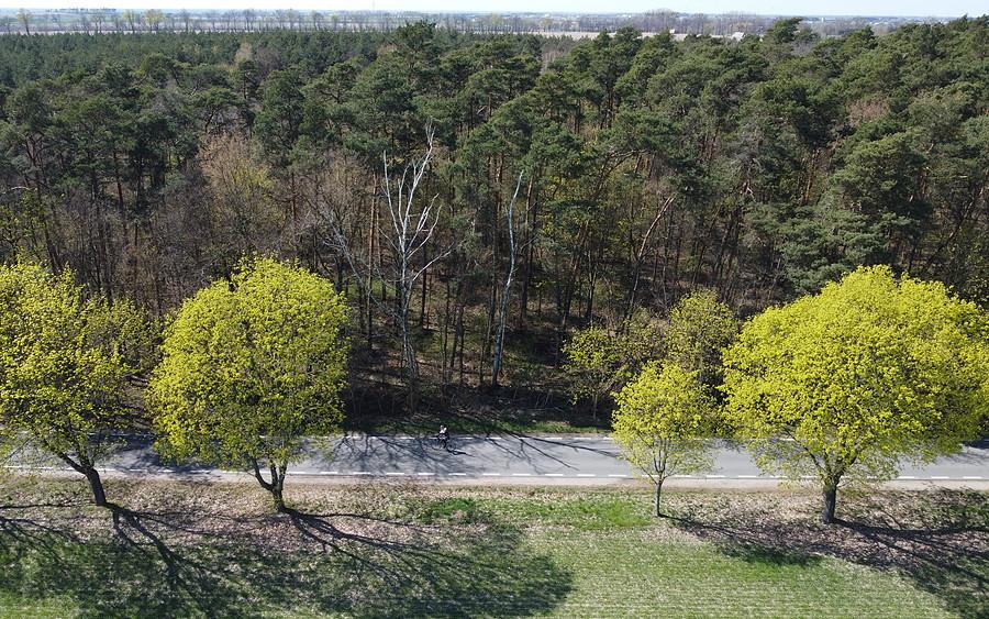 Troszkę wiosenny widoczek. Też załapałem się na foto (by dron)