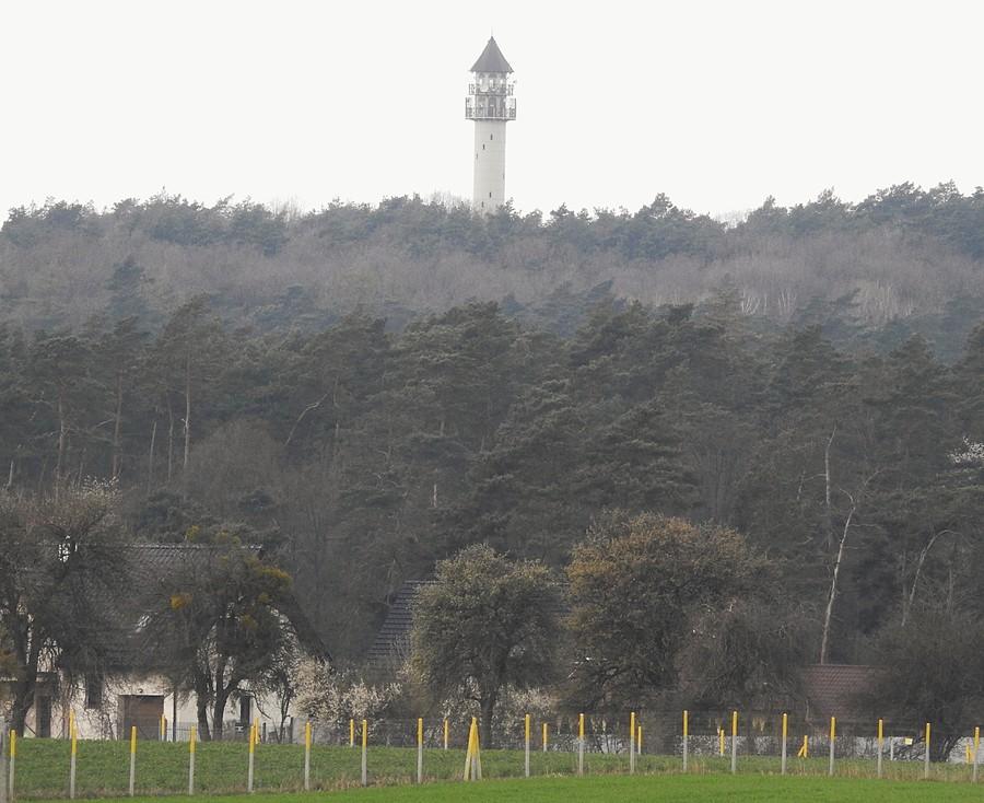 Dziewicza Góra