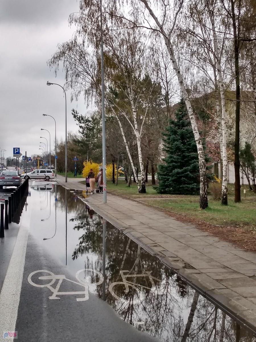 Jak zwykle po deszczu