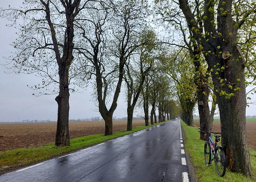 Dzisiejsze warunki pogodowe