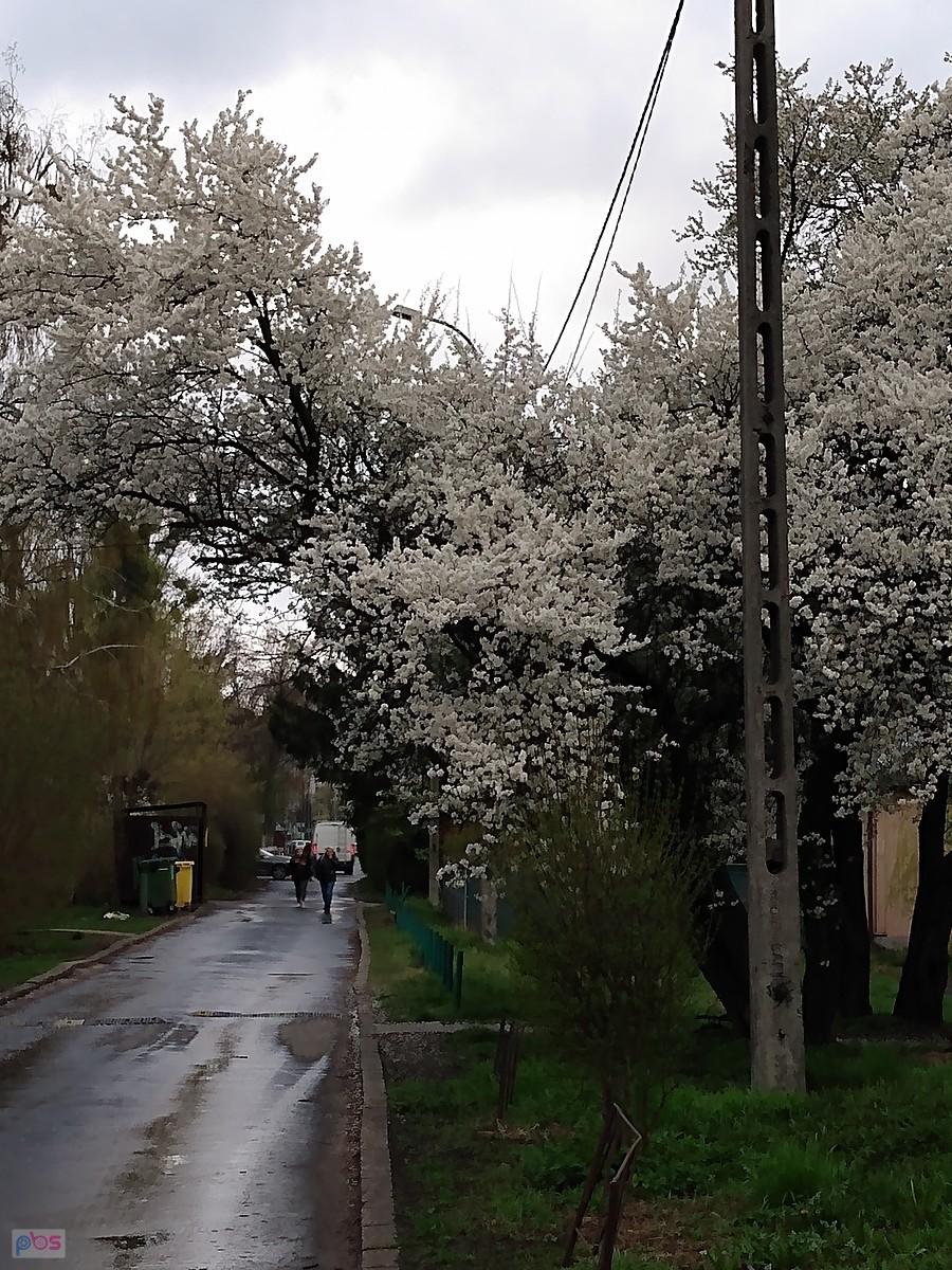 Na Osiedlu "Przyjaźń"