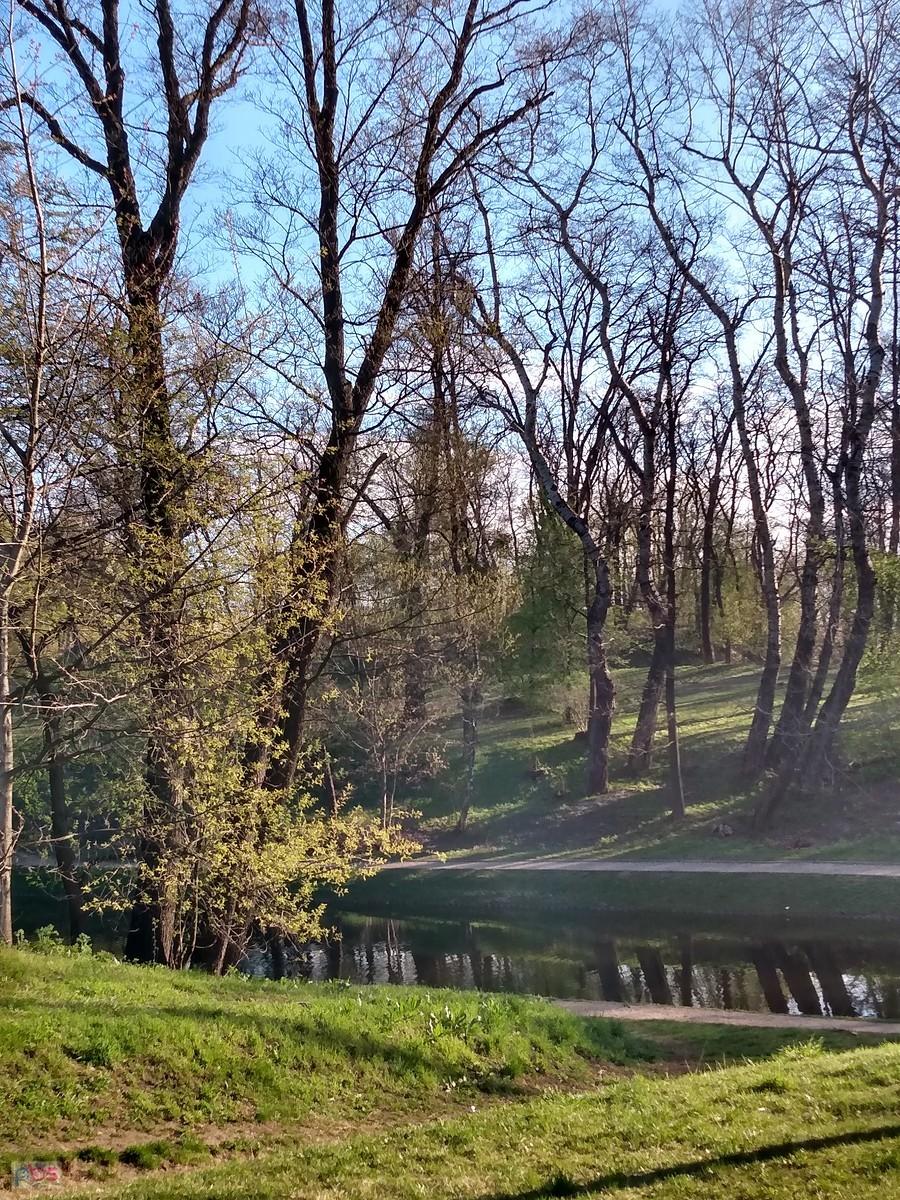 Wiosenny park