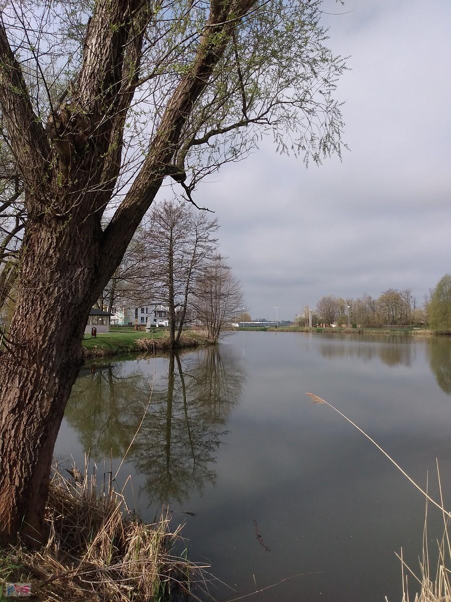 Staw w Zielonkach