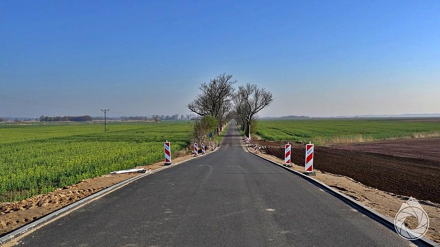 podziurawione drogi wzdłuż wyrastających rzepaków