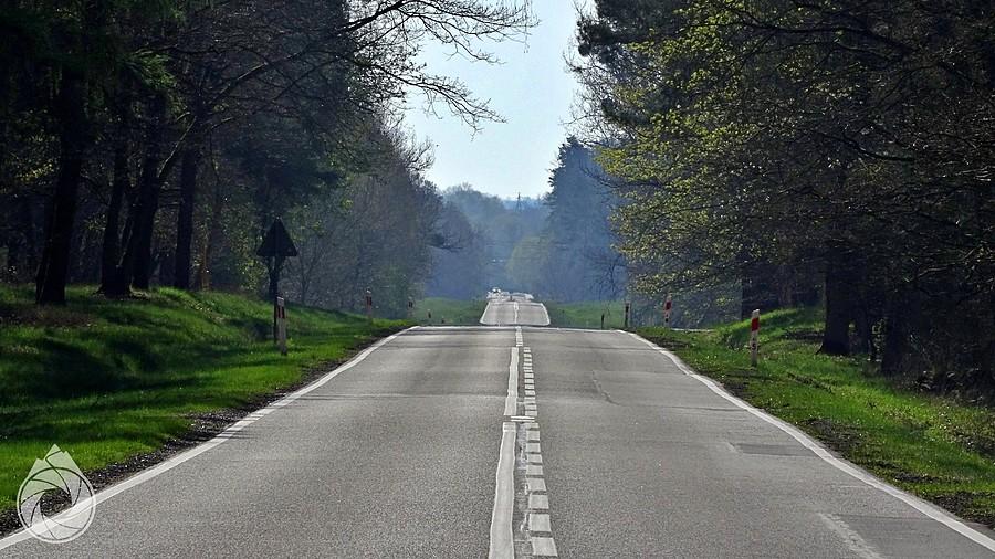 są dłuuuugieeeee proste w słońcu