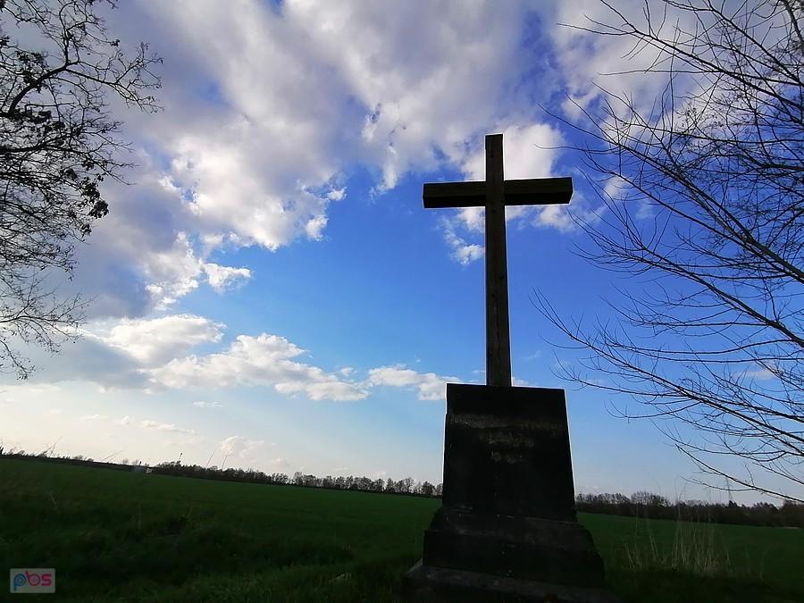 Gdzieś w polu pod Czekanowem