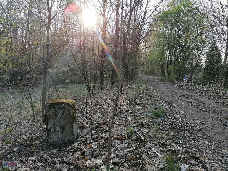 Zaś po kolei