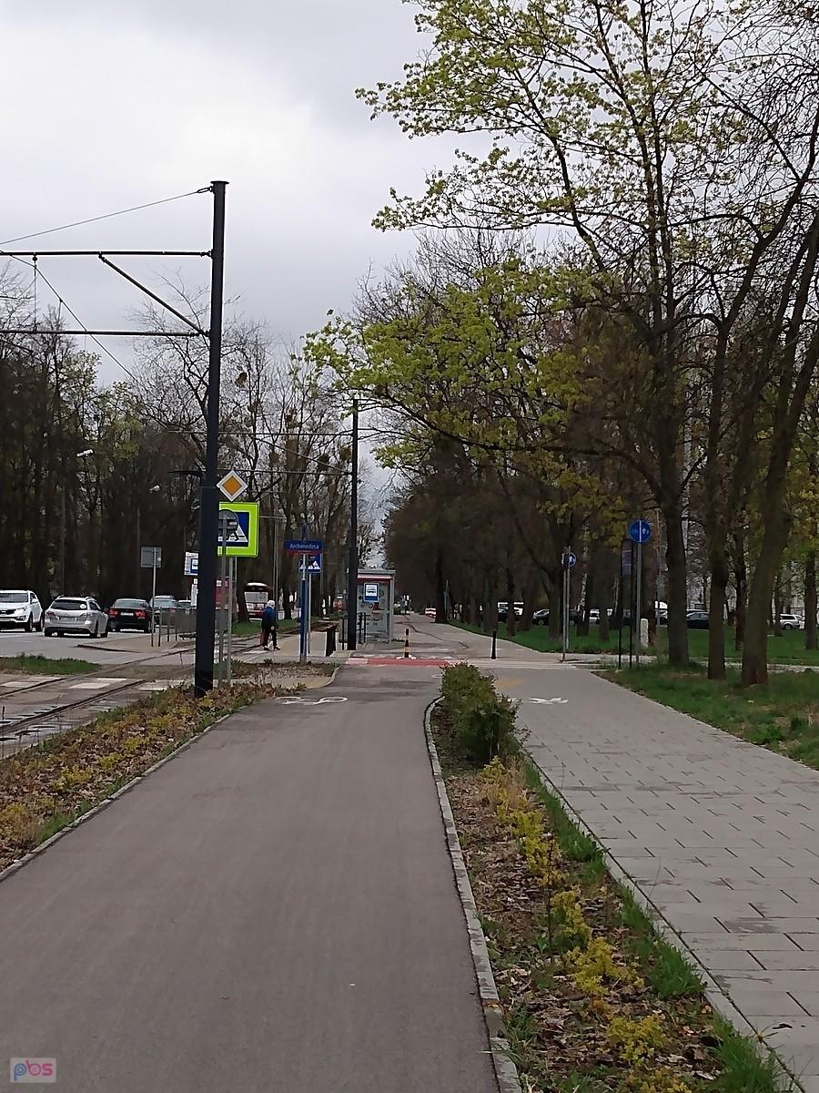 Ścieżka rowerowa w mieście