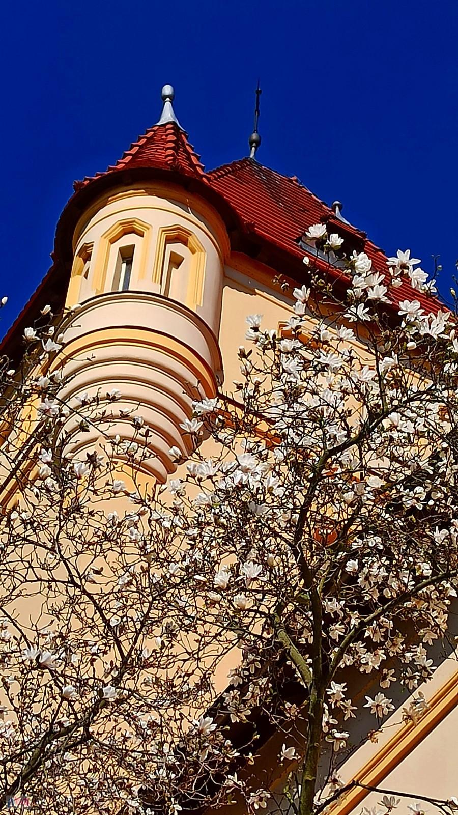 Zamek w Osiecznej