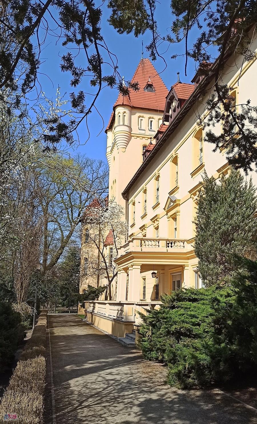 Zamek w Osiecznej