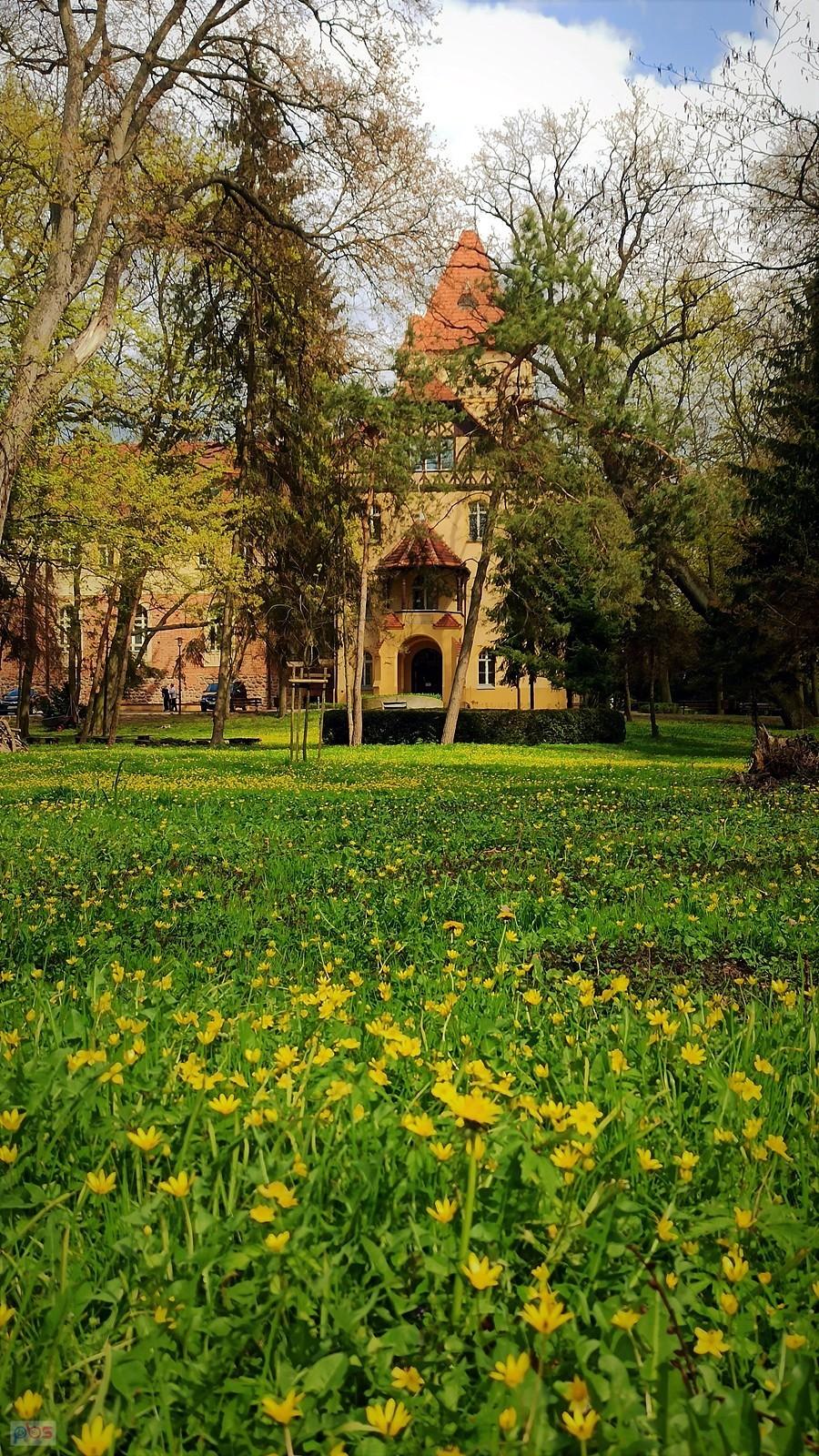 Park wokół zamku w Osiecznej