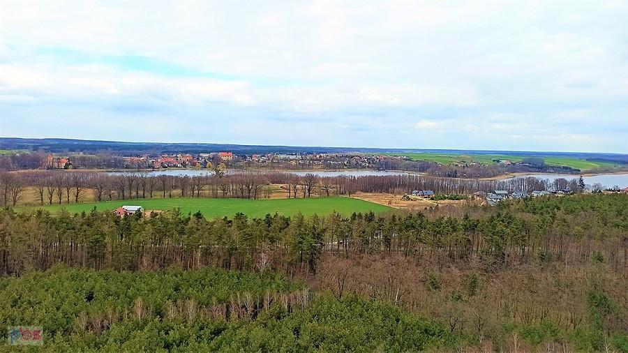 Widok na Osieczną i Jezioro Łoniewskie